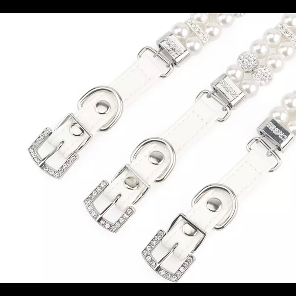 Small Dog Collars - Picture 4 of 5